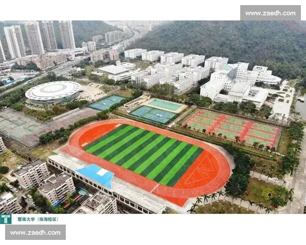 新时代竞技体育战略布局与全球竞争力提升路径研究综合创新体系构建